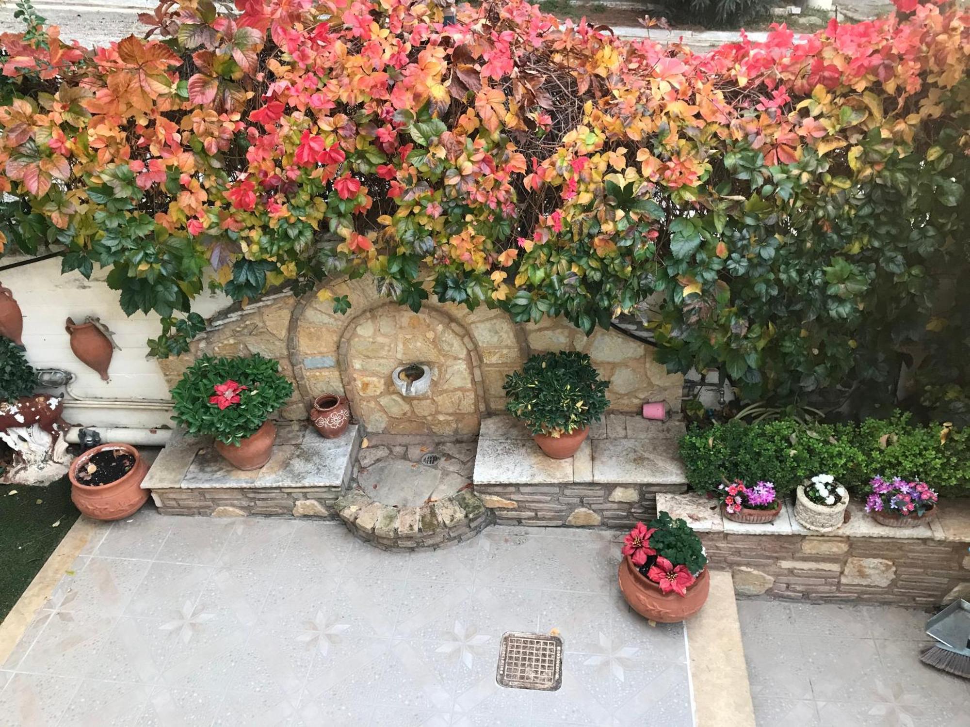 Yellow House Oropos Nea Palatia Εξωτερικό φωτογραφία