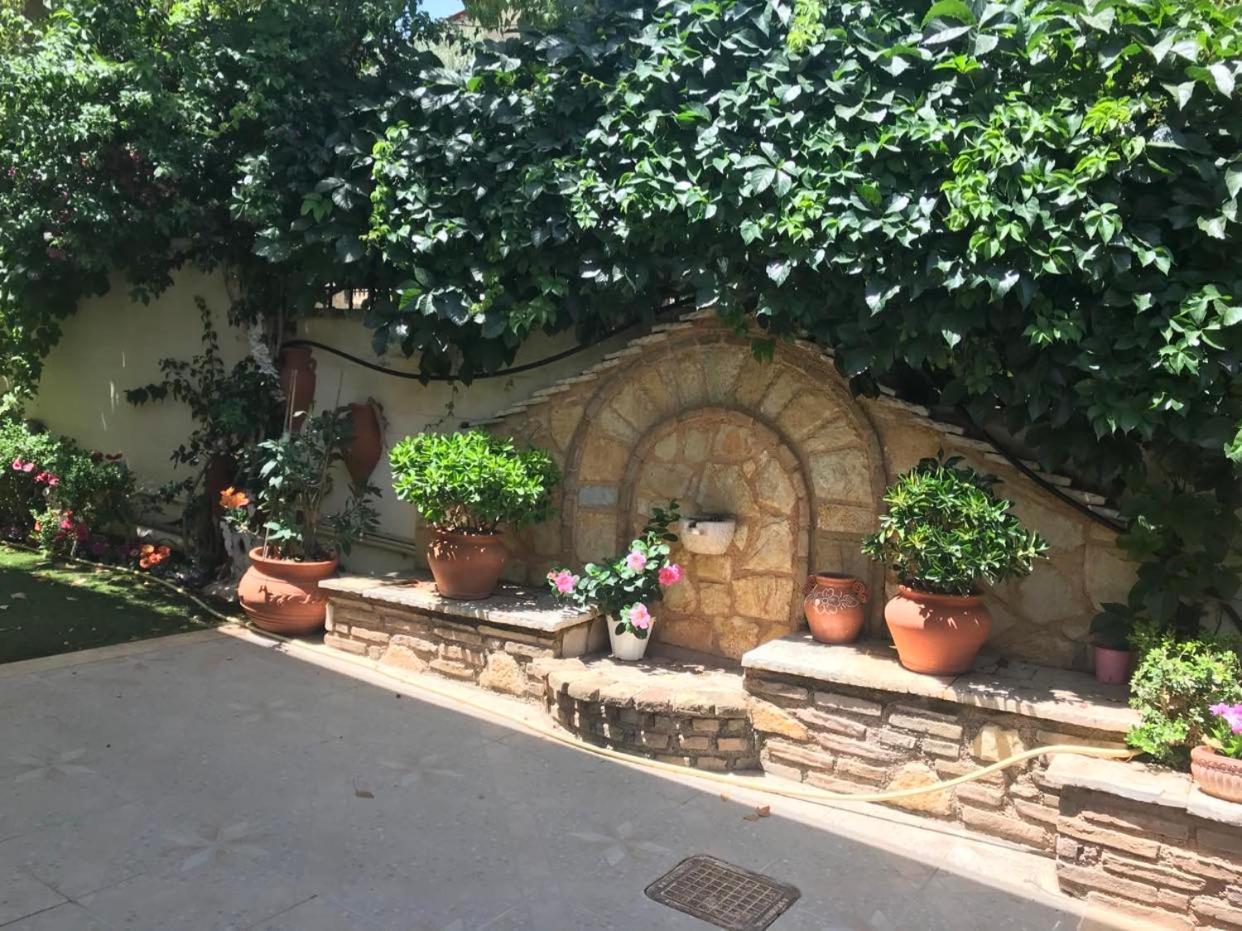 Yellow House Oropos Nea Palatia Εξωτερικό φωτογραφία