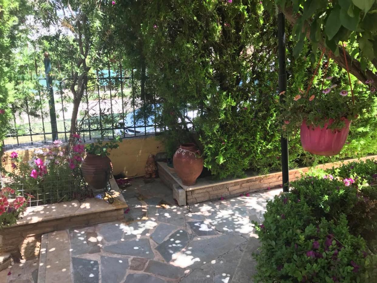 Yellow House Oropos Nea Palatia Εξωτερικό φωτογραφία