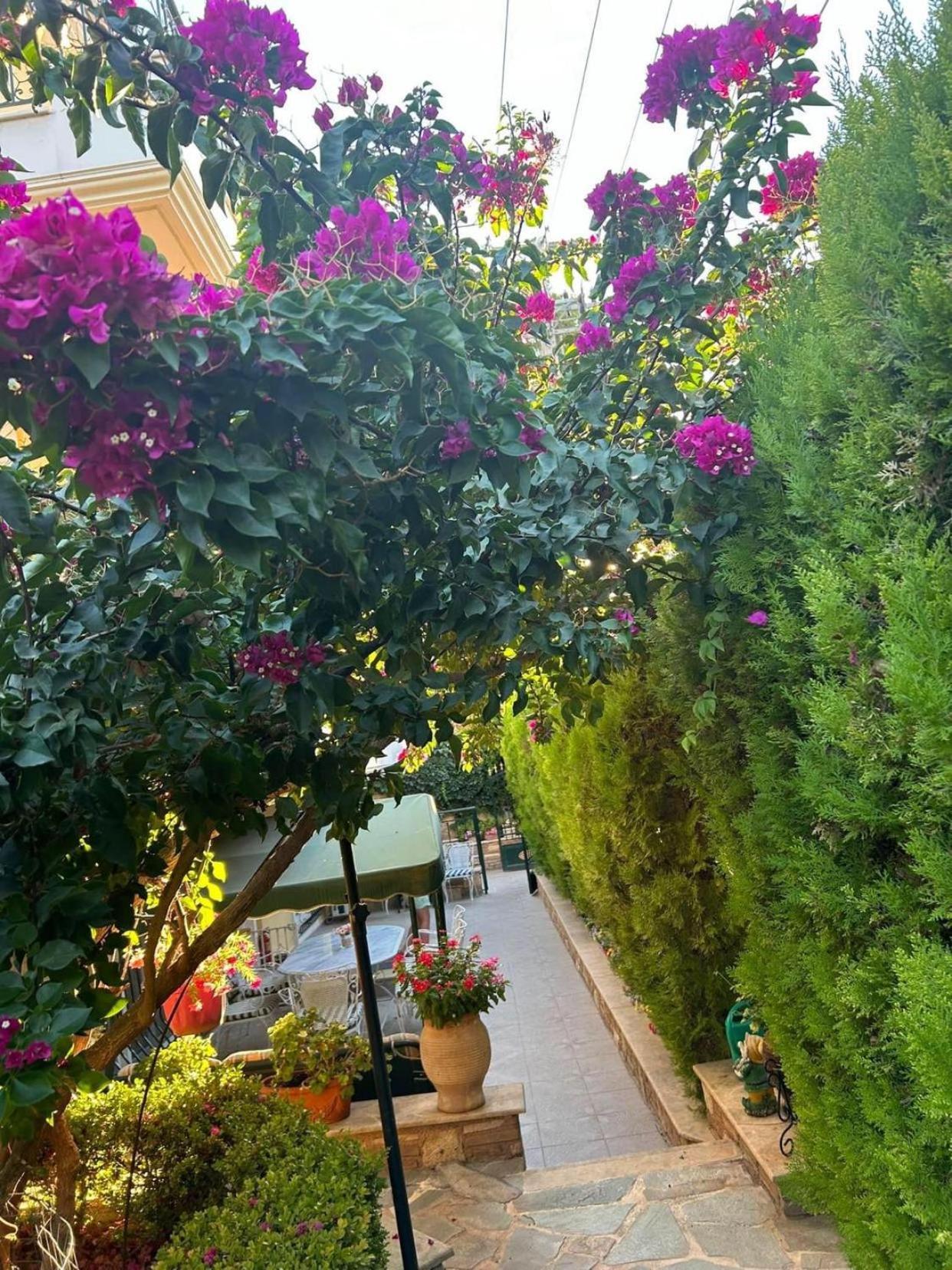 Yellow House Oropos Nea Palatia Εξωτερικό φωτογραφία